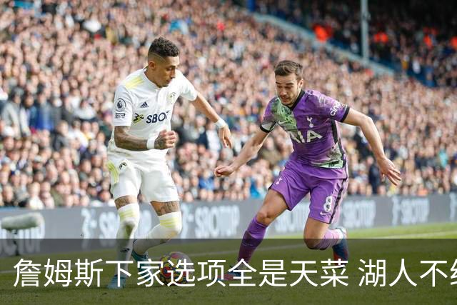 詹姆斯下家选项全是天菜 湖人不给的体面这些队能给